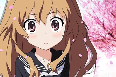 Toradora! Wallpapers Anime Wallpapers