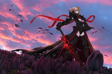 761 Fate/Stay Night HD Wallpapers