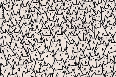 Iphone Wallpapers Cat On Pinterest