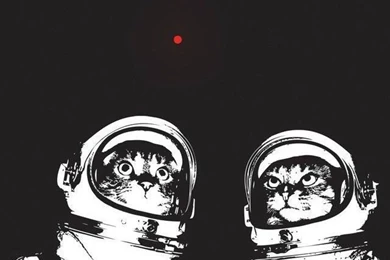 Got Bored, Made A New iPhone 5 Wallpapers – Spacecats