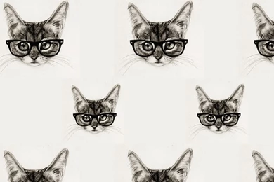 Nerd Cat iPhone Wallpapers