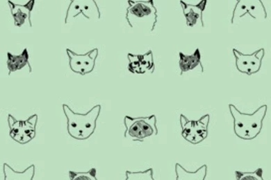 iPhone Wallpapers   Cats