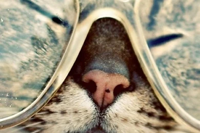 Modern Free iPhone Wallpapers