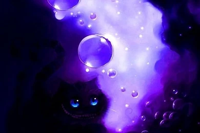 Purple Cat Iphone Wallpapers Iphone Wallpaper Backgrounds And ...
