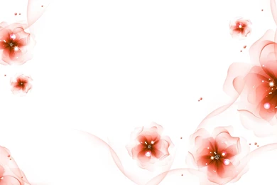 Floral White Desktop Backgrounds