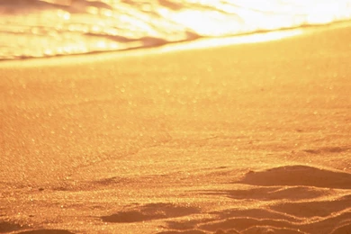 Golden Sand Wallpapers Free