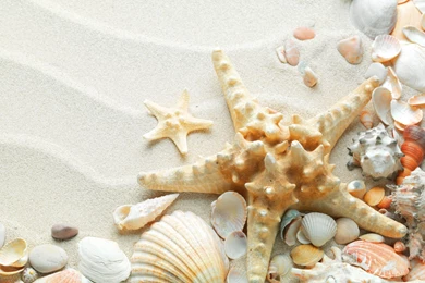 Photography   Page 92