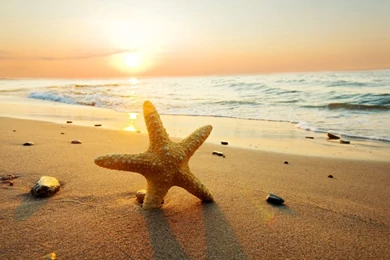 Summer Sand Wallpapers For Desktop 91253