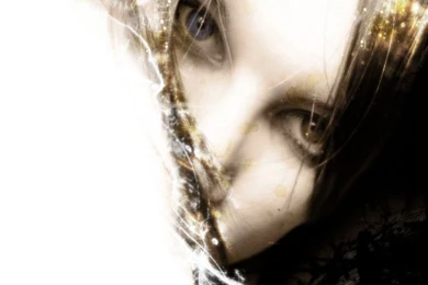 Pictures Network RSS Feed