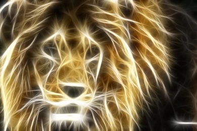Abstract Lion Wallpapers HD   HD Images New