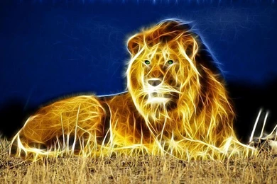 High Definition Lion Wallpapers For Free Download