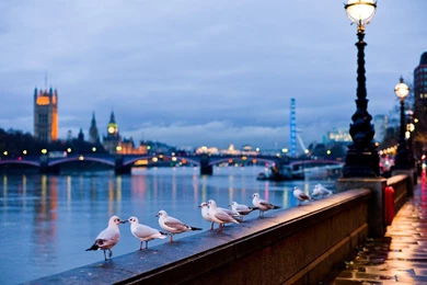 London HD Wallpaper, London Images Free, New Wallpapers