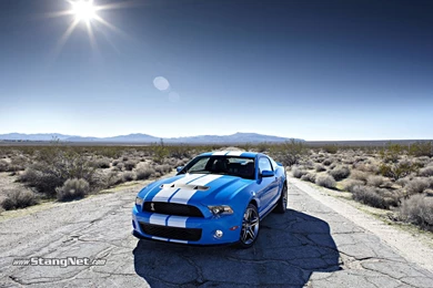 2010 Shelby GT500 Wallpapers StangNet