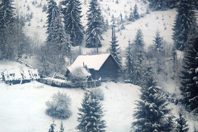 1920x1080 Winter Desktop PC And Mac Wallpapers