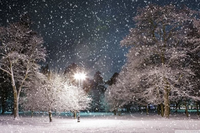 HD Wallpapers Winter Night 3 Wallpapers 1920x1080