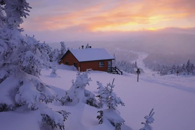 Winter Scene HD Wallpapers