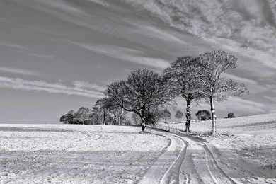 1920x1080 Black And White Winter Desktop PC And Mac Wallpapers