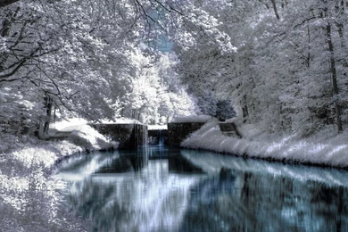 Winter Wallpapers Pictures