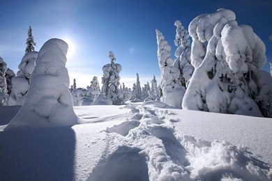 Winter Coming 1920x1080 Wallpapers, 1920x1080 Wallpapers ...