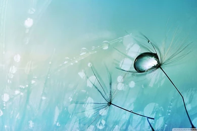 Winter Wallpapers 86