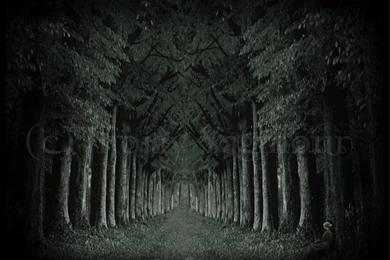 Cool Gothic Backgrounds