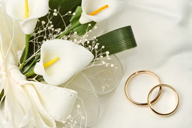 Cute Wedding Backgrounds Wallpapers