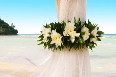 Curtain Beach Wedding Wallpapers