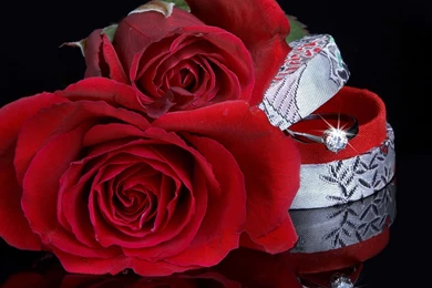 8 Wedding HD Wallpapers