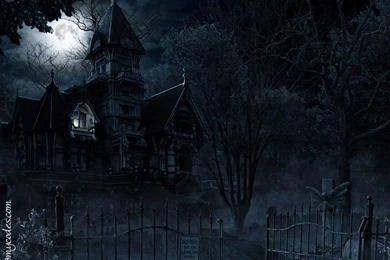 Dermot Fritz: Hot Backgrounds