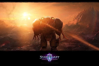 Wallpapers   Media   StarCraft II