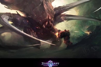 Wallpapers   Media   StarCraft II