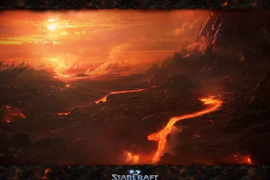Wallpapers   Media   StarCraft II