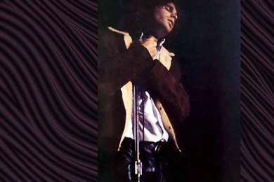 Jim Morrison   The Doors Wallpapers (5073720)   Fanpop