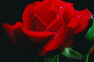 White Metallic Wallpapers 7958 HD Wallpapers