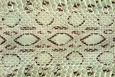 Snake Skin Backgrounds Fifteen
