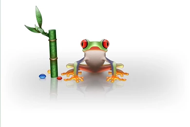 Art 3D Frog Wallpapers Desktop 489