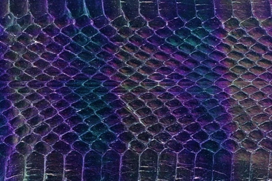 Snake Skin Backgrounds Forty one