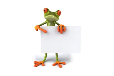 D Frog Design 909   Other   Others