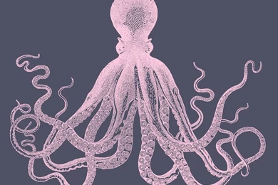 Splendid Minta: Get The Look: Octopus Triptych