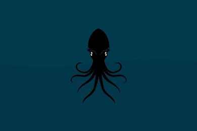 Octopus Creative HD Wallpapers   FreeWallsUp