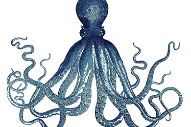 Splendid Minta: Get The Look: Octopus Triptych