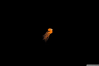 Download Orange Octopus Wallpapers 1920x1080
