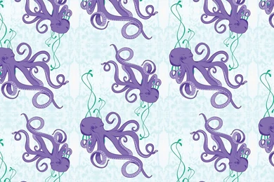 Octopus