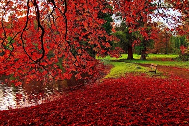 Hd wallpapers autumn romantic wallpaper nature 1920x1200 wallpaper.jpg