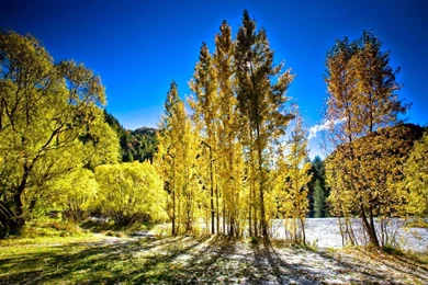 Autumn HD Wallpapers