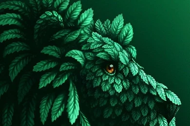 Beautiful iPhone six Wallpaper.jpg