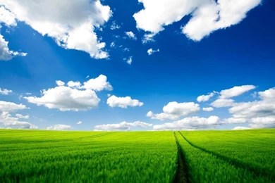 Pure Nature HD Wallpapers