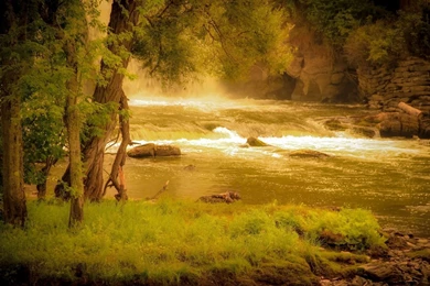 1680x1050 Forest River Hd Wallpapers