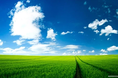 Free Wallpapers   Free Nature Wallpapers   HD Landscape 2 Wallpapers ...