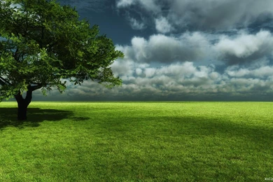 Prairie HD Wallpapers